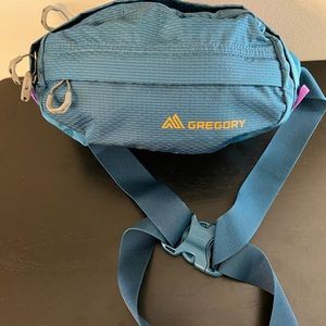 Gregory belt bag in teal blue with magenta accents
